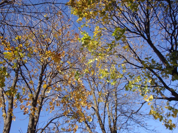 photo-010_novembre.jpg