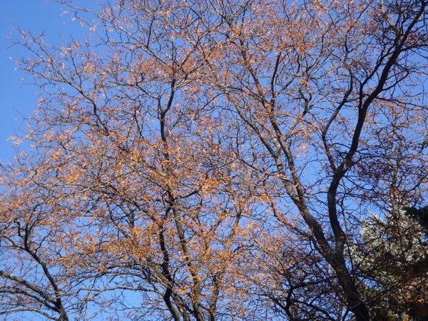 photo-013_novembre.jpg