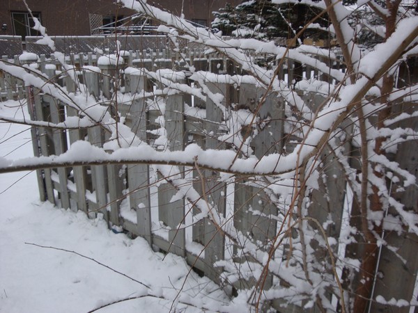 photo-079_neige.jpg