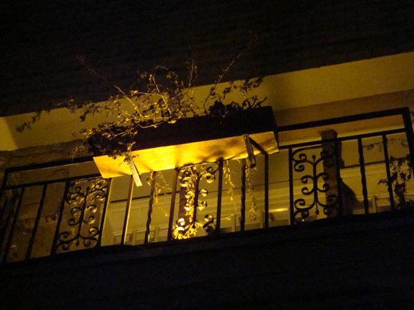 ruecrescent1.jpg