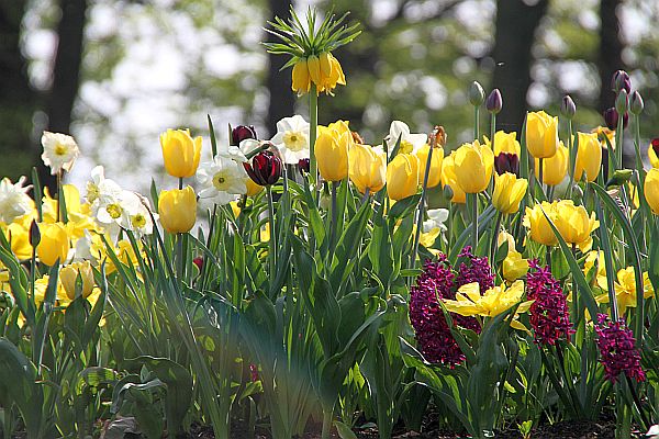 000-lali0-img_0170.jpg