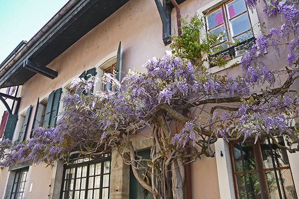 tz5-20110416-014_l.jpg