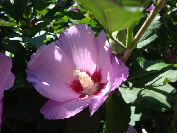 photo-090_ro.jpg