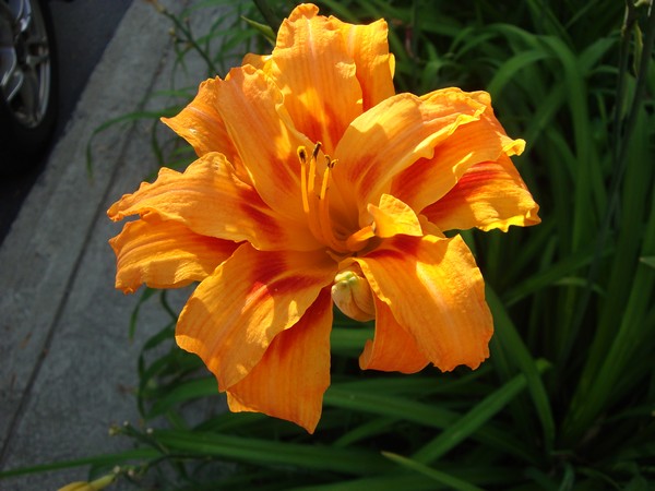 photo-198_rm.jpg