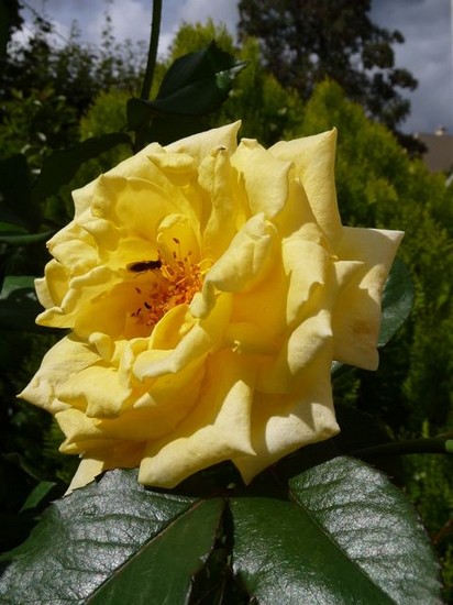 p1040080_2.jpg