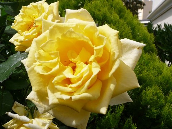 p1040090_2.jpg