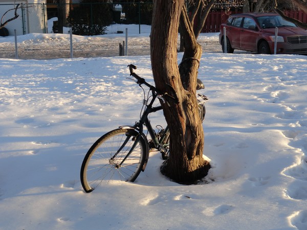 Photo 014_022012