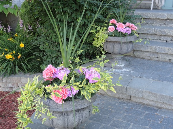 Photo 1145_ib