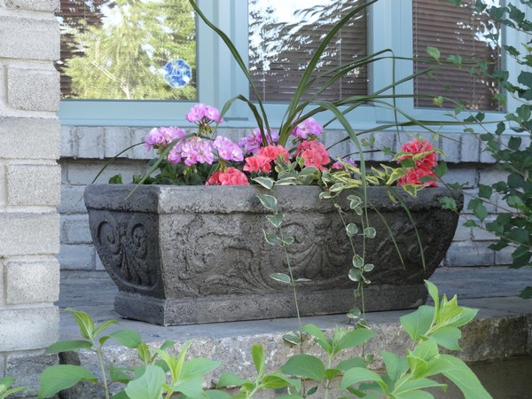 Photo 1152_ib