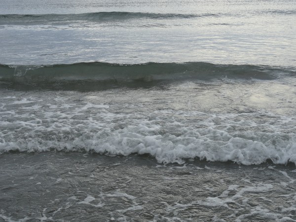 048_rye092012