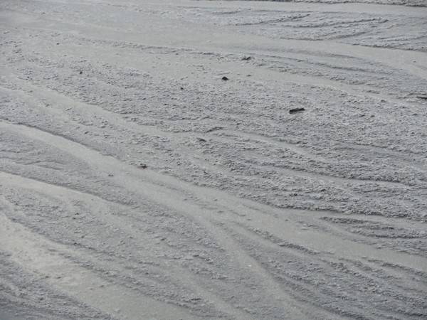059_rye092012