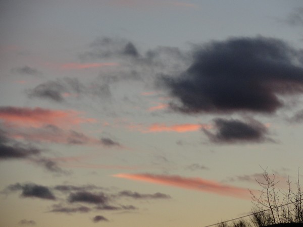 20121126 039