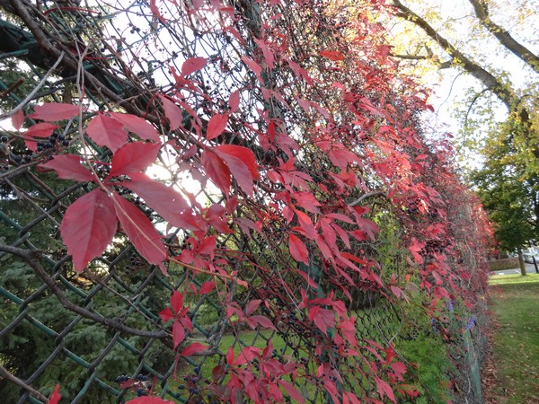 20131028 001
