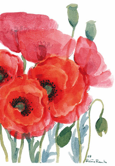 Riita Ranta - Coquelicots