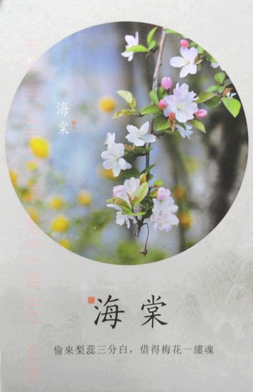 Fleurs de pommetier