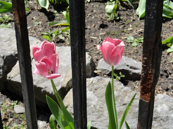 20150517 053