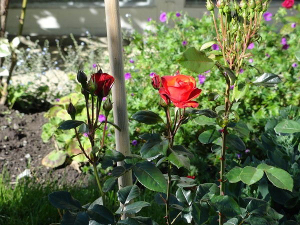 20150619 001
