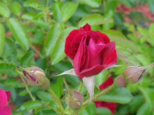 20150622 009