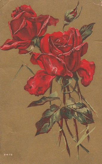 Roes rouges 1909